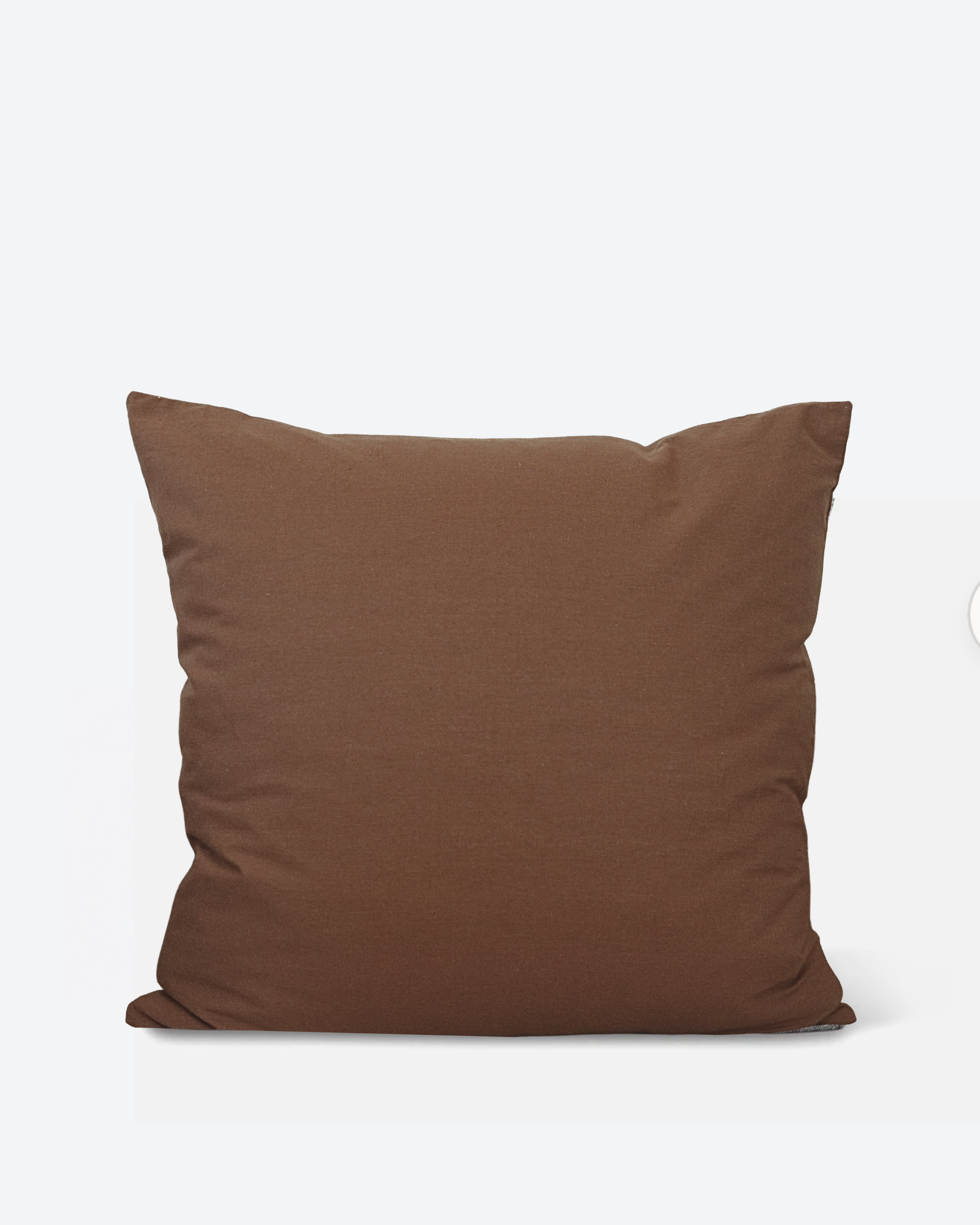 Cinnamon Pillow