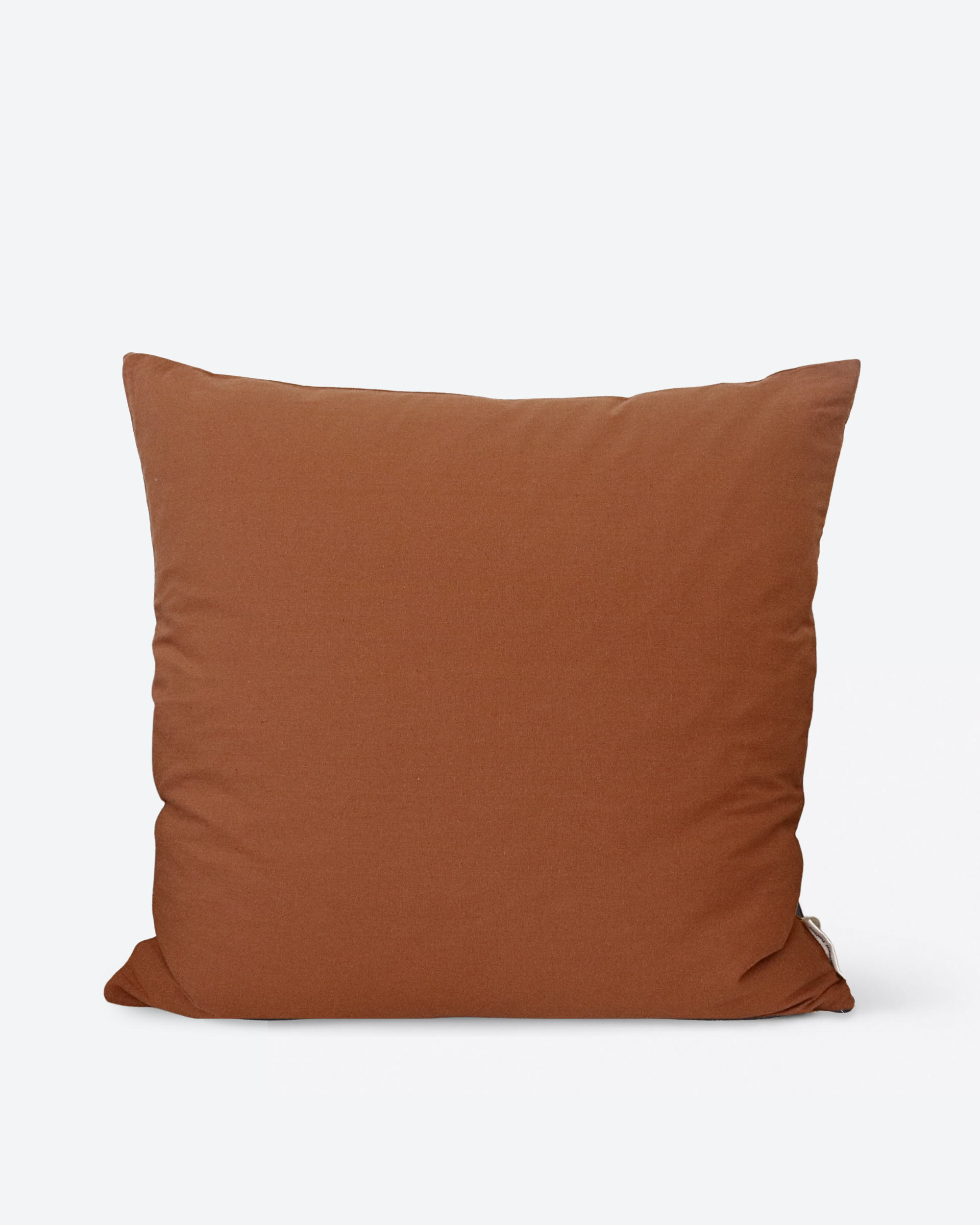 Terracotta Pillow