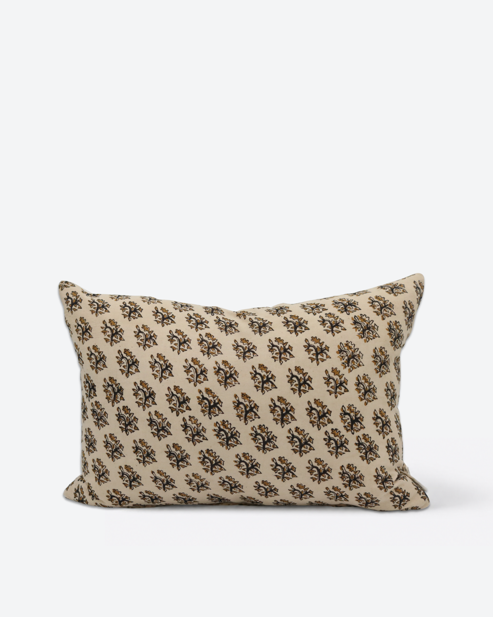 Kashi Pillow II