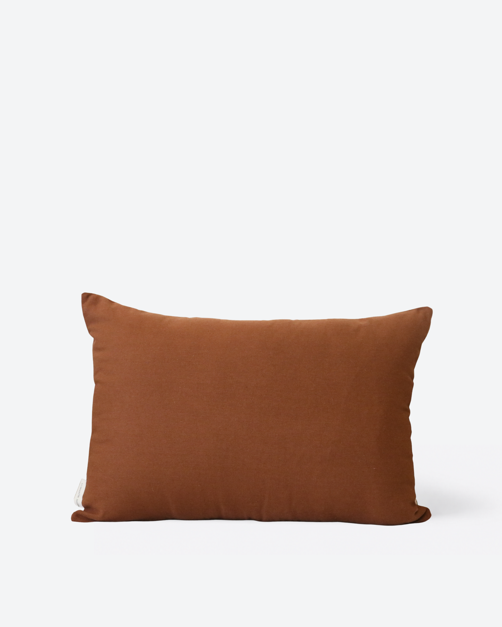 Terracotta Pillow II
